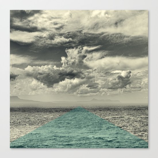 Field of Vision Canvas Print