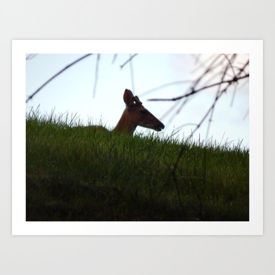 Deer Silhouette Art Print