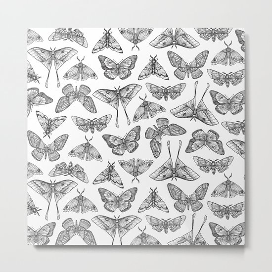 Lepidoptera Metal Print