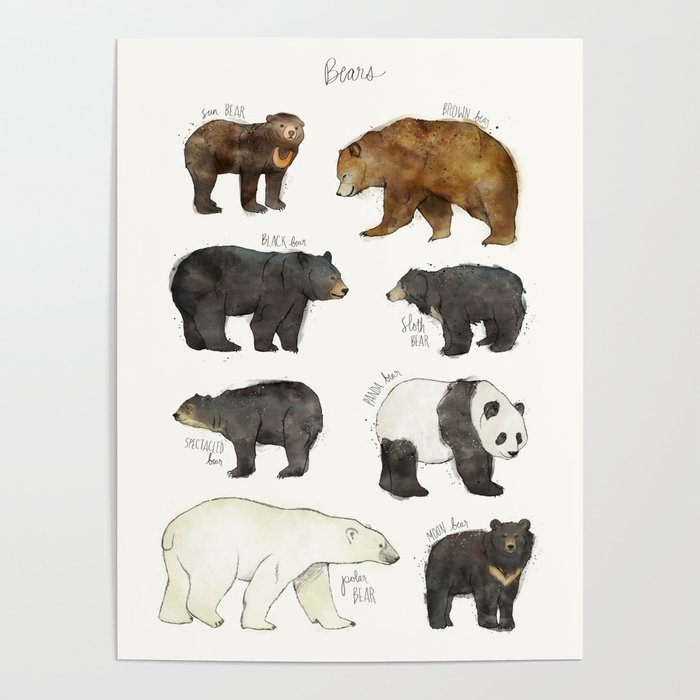 Bears Poster