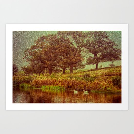 2 Swans-A-Swimming Art Print