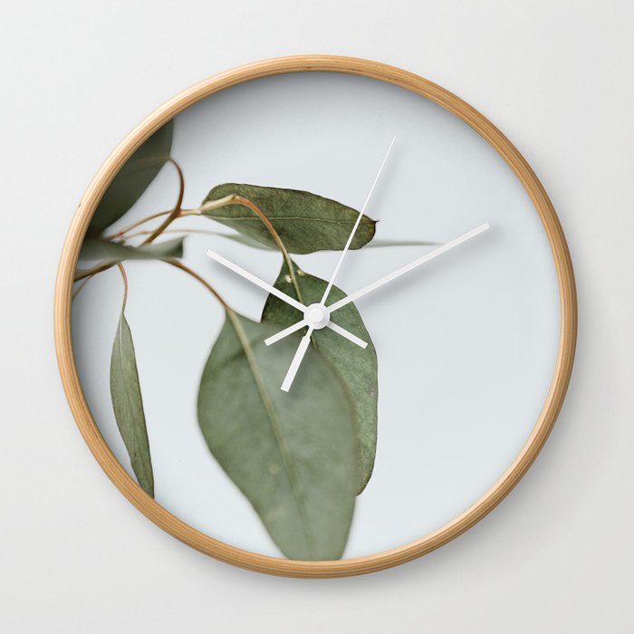 Seeded Eucalyptus | 1 Wall Clock