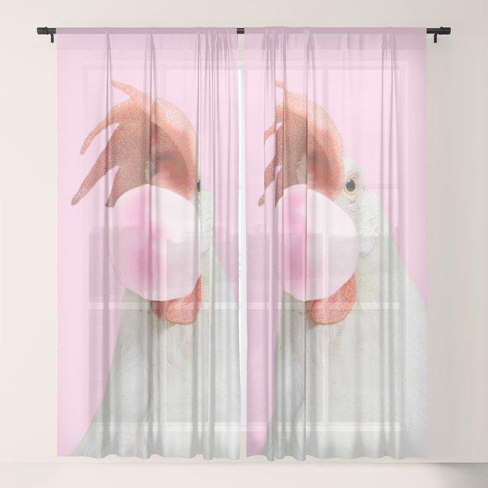 Sheer Curtain
