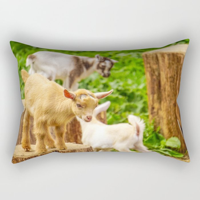Baby Goats Playing Rectangular Pillow