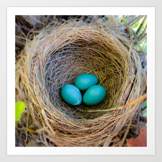 Three Little Robin's Eggs Art Print