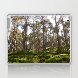 Early Summer Woodland in the Scottish Highlands Laptop Skin