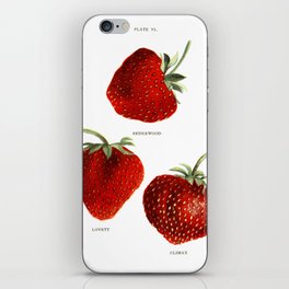 Vintage Strawberry Painting iPhone Skin