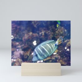 Stunner Fish Mini Art Print