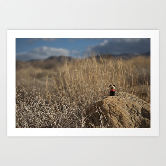 Desert Dog Art Print