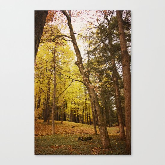 The Last Days of Grace Canvas Print