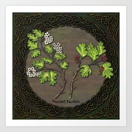 Celtic Hawthorn Art Print
