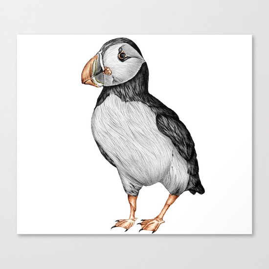 Little Puffin Canvas Print