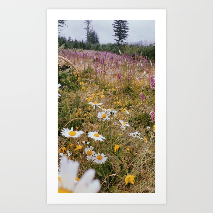 Flowers Art Print