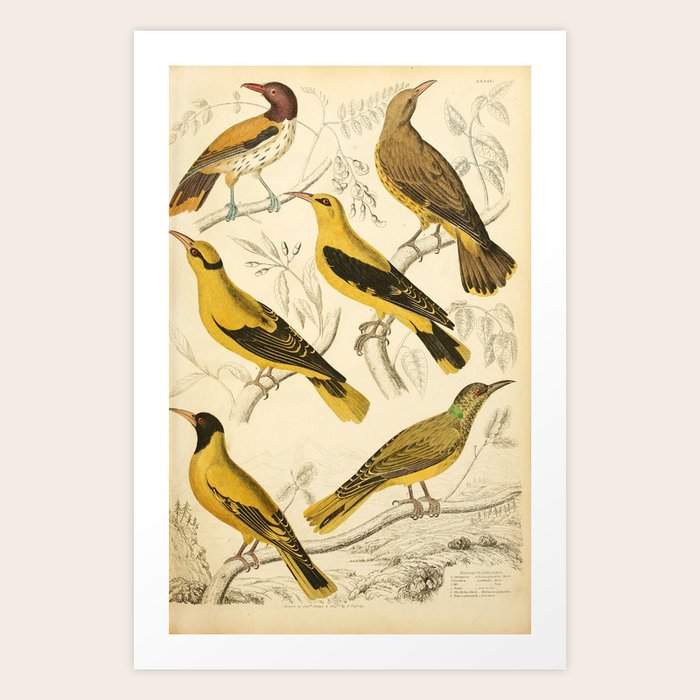 Art Print