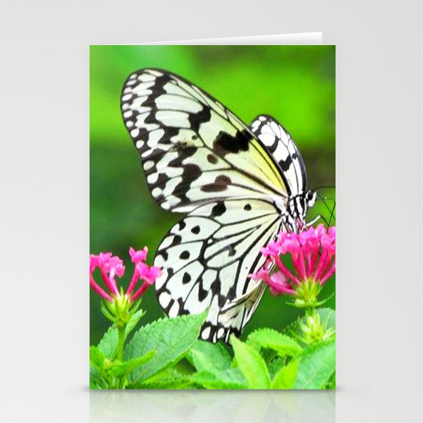 Butterfly and Pink Flowers Stationery Cards