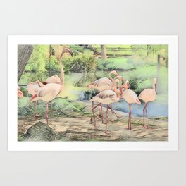Flamingo Family In Pen And Ink Art Print