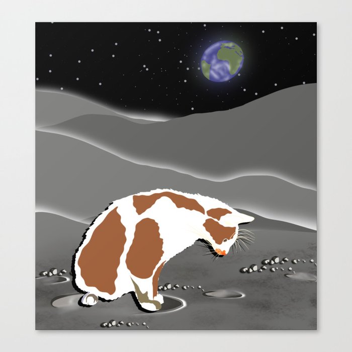 Space cat Canvas Print
