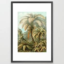 Vintage Tropical Palm Framed Art Print