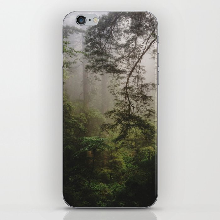 Foggy Forest iPhone Skin