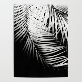 Palm Leaves Black & White Vibes #2 #tropical #decor #art #society6 Poster