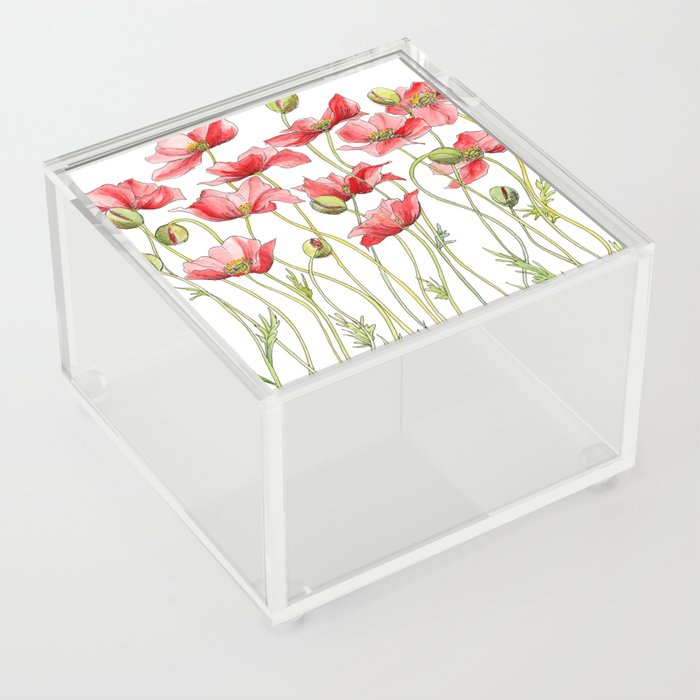 Red Poppies, Illustration Acrylic Box