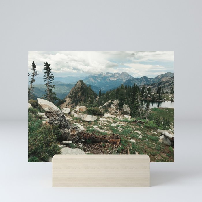 Mini Art Print