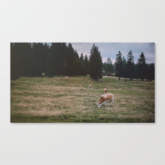 The Reality Canvas Print