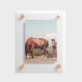 Wild Horses - Horse Photography - Mountains Wanderlust Travel photography by Ingrid Beddoes  Floating Acrylic Print