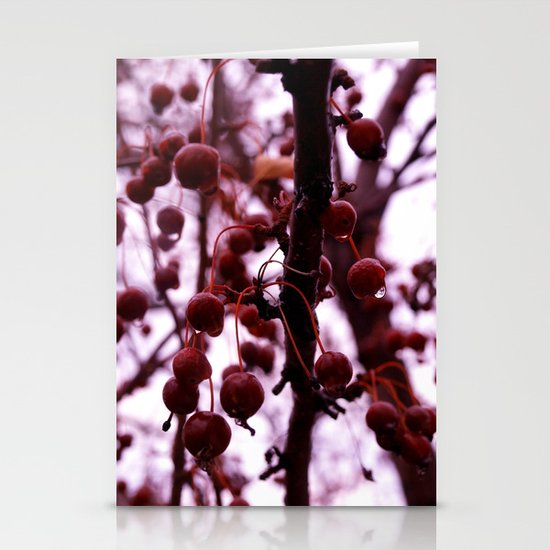 Winter Berries Stationery Cards