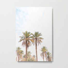 303. Two Summer Palm Trees, Jordanie Metal Print