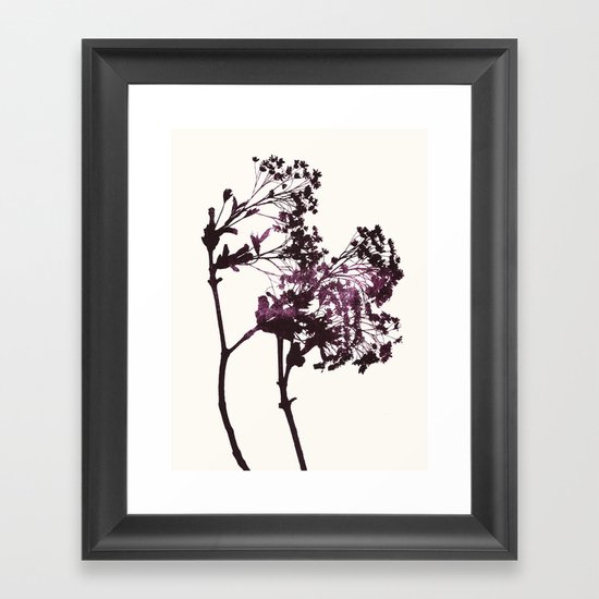 sugar maple 1 Framed Art Print