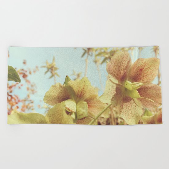 Spring Hellebore Beach Towel