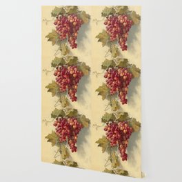 Grapes Against White Wall by Edwin Deakin Wallpaper