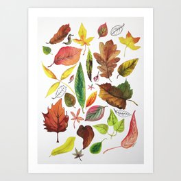 Autumn leaves Art Print