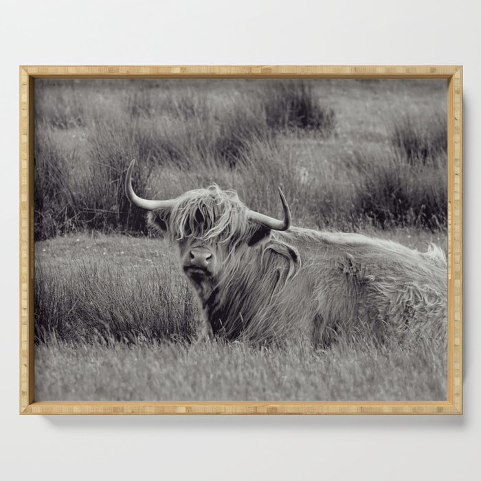 Cow of Scotland | Black and White Scottish Nature Photography  Serving Tray