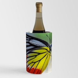 Asian Painted Jezebel butterfly Wine Chiller