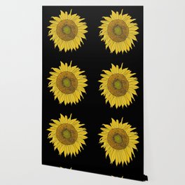 Sunflower on Black by Seasons Kaz Sparks Wallpaper