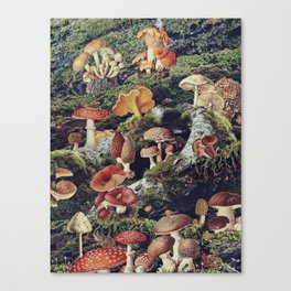 Enchantment Canvas Print