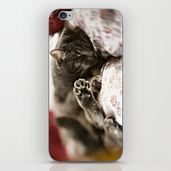 Pancho iPhone & iPod Skin