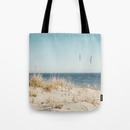 Chatham Lighthouse Beach with Seagulls Tote Bag