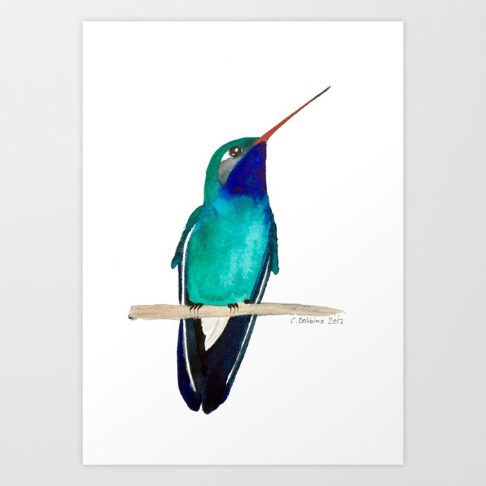 Broad-billed Hummingbird Art Print