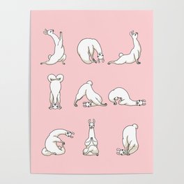 Yoga LLama in Pink Poster