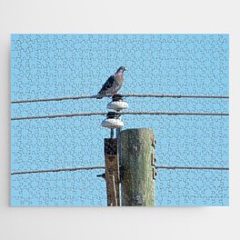 Pigeon on a Pole Jigsaw Puzzle