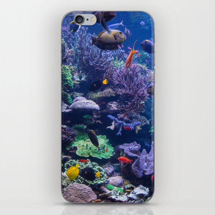 Underwater Photography Aquarium iPhone Skin