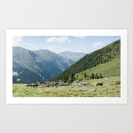 horses in the mountains of Innsbruck Austria  near a ruin - wall art print  Art Print
