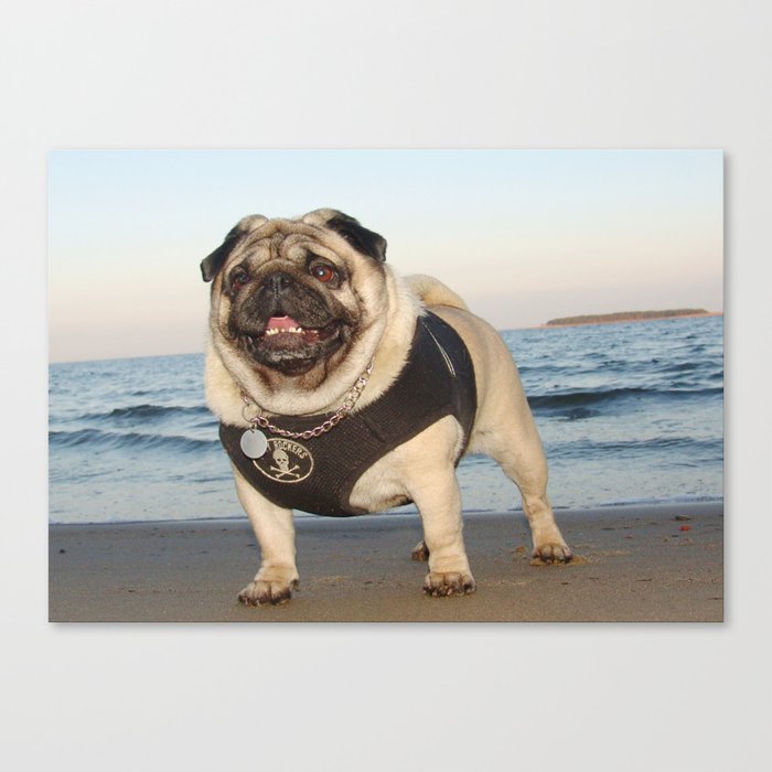 Pug at the beach,seaside theme dog,beach dog print,seaside dog print,dogs at the beach,dog wall art Canvas Print