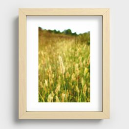 Grass Of The Field - Golden Harvest Recessed Framed Print