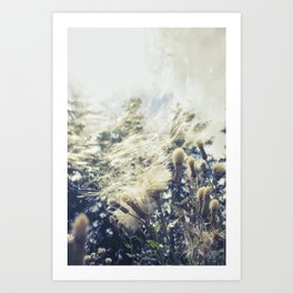A Swirl of Thistle | Nature Photography in Italy  Art Print