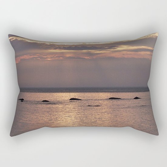Circle of Rocks Light From Above Rectangular Pillow
