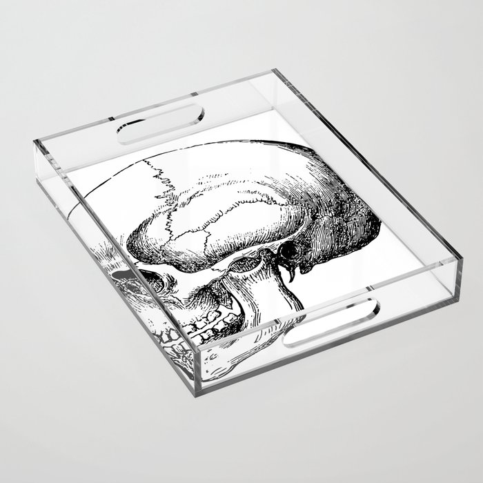 Skull Acrylic Tray